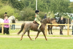 SBM_69952