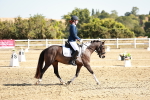 SBM_017041