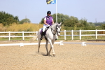 SBM_009331