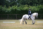 WJ6_3329