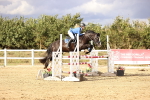 SBM_008842