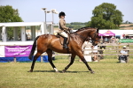 SBM_17706