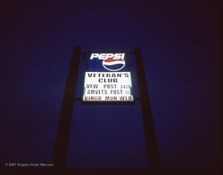 Neon Wilderness portfolio