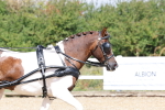 SBM_001024