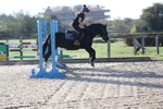 20261004-0021