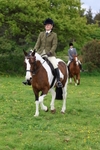 Class 8: Ridden Veteran Junoir and Senior portfolio