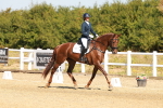 SBM_017533