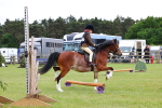 SBM_08776