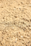 SBM_002270