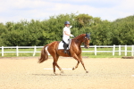 SBM_000647
