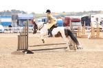 SBM_04280