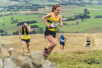 Fellside-84
