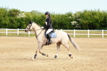 SBM_006500