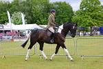 SBM_02477