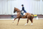 SBM_007785