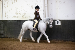 SBM_008981