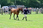 SBM_03868