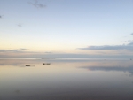 Infinity - Stiffkey