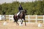 SBM_015631