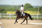 SBM_009537