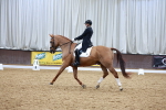 SBM_004003