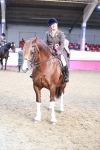 Class 12R - Regional Ridden Pre-Vet portfolio