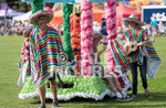 North Show 2017-53