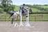 BPP_3368