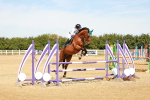 SBM_003083