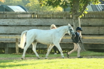 SBM_57359
