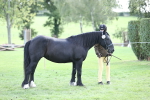 SBM_26247
