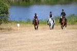 WJ6_8310