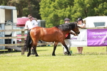 SBM_02481