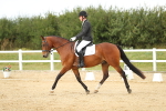 SBM_018406