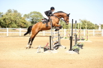 SBM_015144_Class 16 - Senior Foxhunter - 120m Open