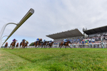 140726-Race 5-Crafty Spirit-2994