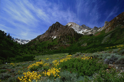 Along the Eastern Side portfolio