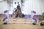 Class -1 - Equissage Pulse Senior BritiNovice/ 90cm Open portfolio
