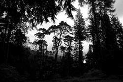 Landscapes portfolio