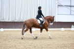 SBM_003222