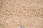 240720A-102137-13648