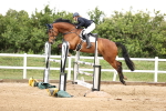 SBM_003466