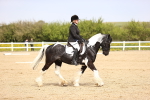 SBM_007515