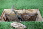 VIET_0104