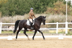 SBM_018277