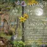 March : Ash Moon