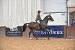 SBM_001521