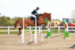 SBM_001698