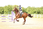SBM_005004
