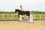 SBM_001184